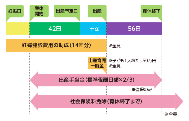 妊婦健診費用の助成（14回分） 出産育児一時金 	出産手当金（標準報酬日額×2/3） 	社会保険料免除（育休終了まで）