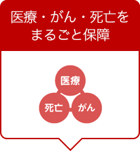 医療・がん・死亡をまるごと保障