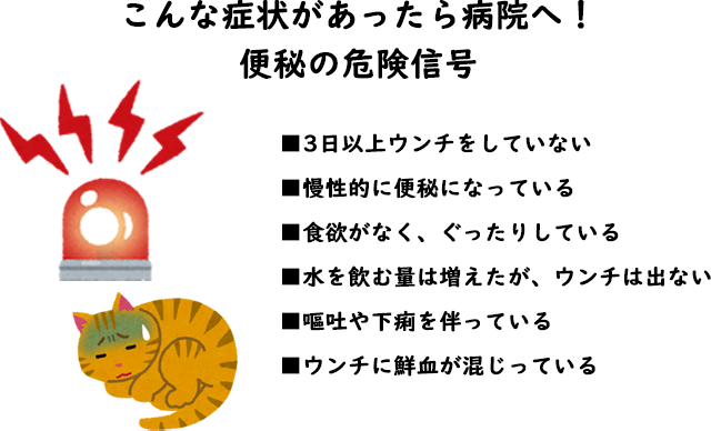 こんな症状があったら病院へ、猫の便秘の危険信号