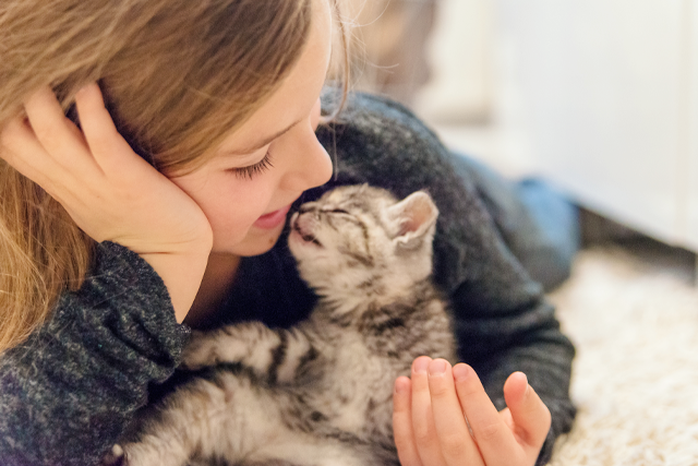 いくらかわいい愛猫でも、病気の時は適切な距離を置きましょう