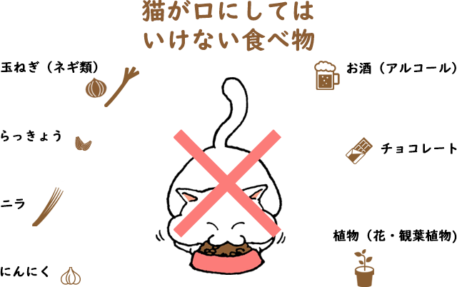 猫が口にしてはいけない食べ物