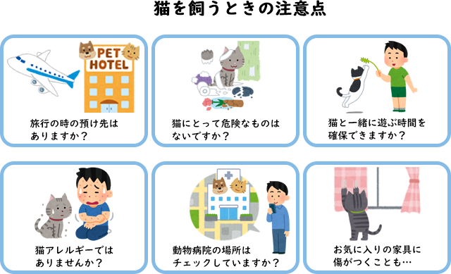 猫を飼うときの注意点