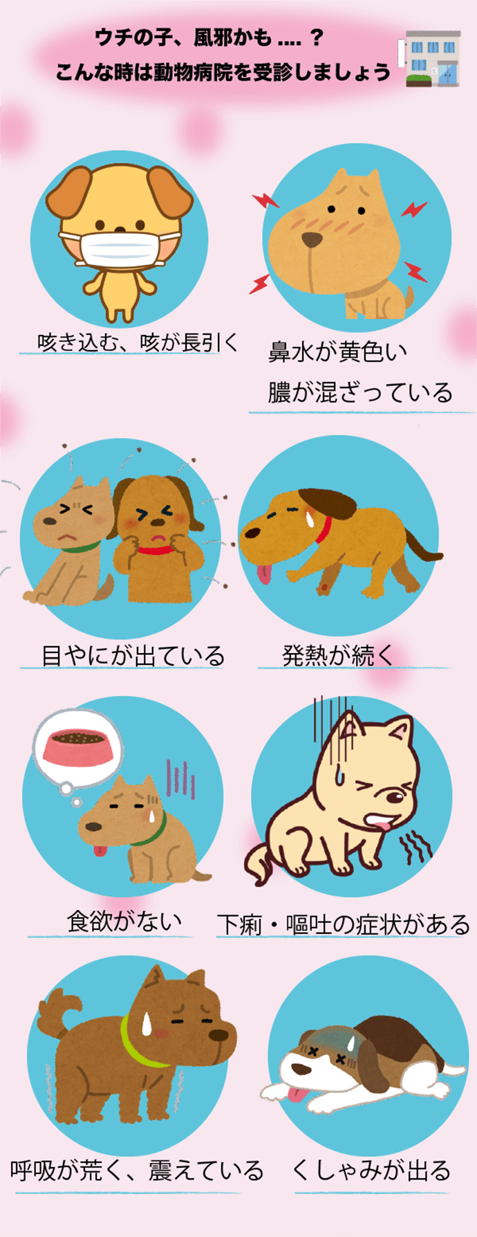 ウチの子、風邪かも…？こんな時は動物病院を受診しましょう