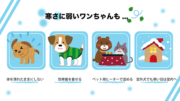 寒さに弱いワンちゃんも…
