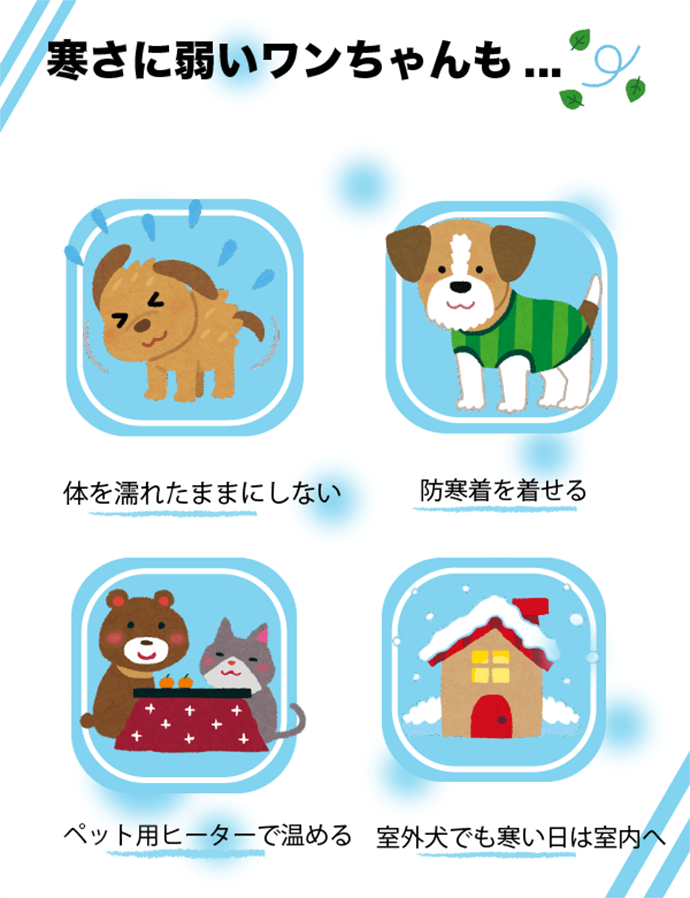 寒さに弱いワンちゃんも…