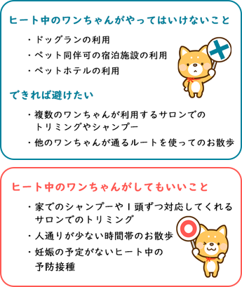 ヒート（生理）中にしてもいいこと、やってはいけないこと