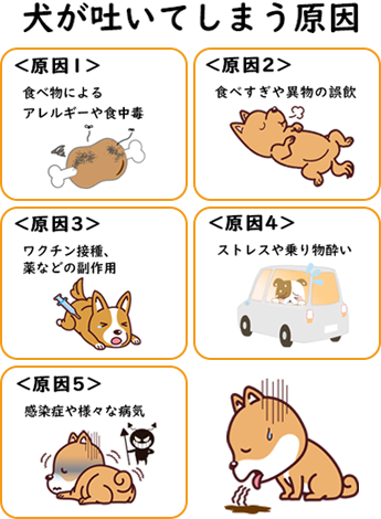 犬が吐いてしまう原因