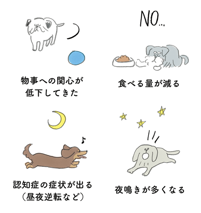 行動にあらわれる老化のサインとは？