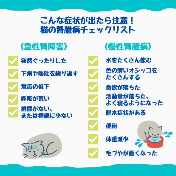 こんな症状が出たら注意！猫の腎臓病チェックリスト