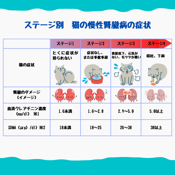 ステージ別　猫の慢性肝臓病の症状