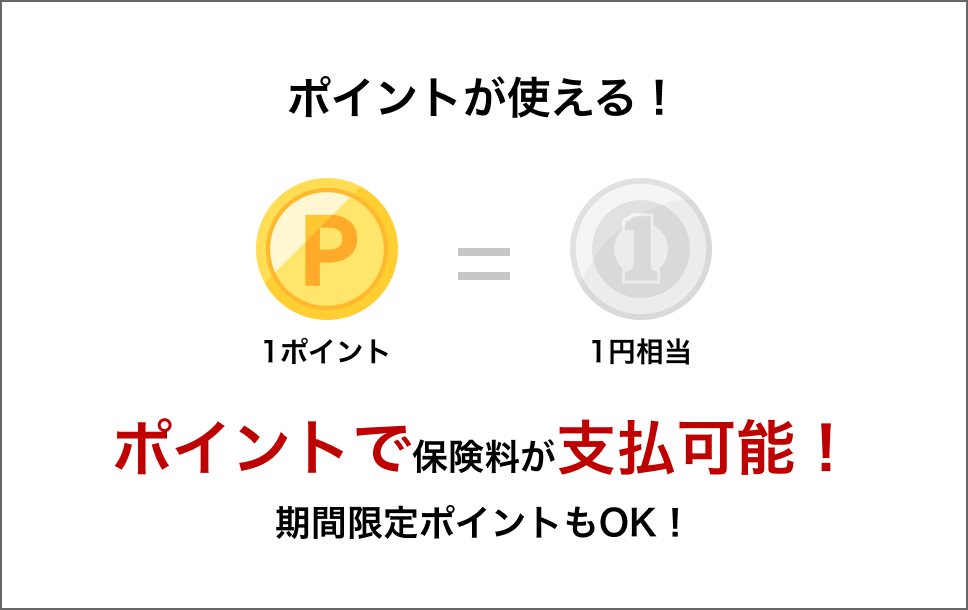 ポイントが使える！（1ポイント=1円相当）ポイントで保険料が支払可能！期間限定ポイントもOK！